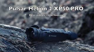 Pulsar Helion 2 XP50 PRO  first video from device [upl. by Hanley793]