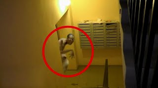 5 Videos de TERROR EXTREMO que NO te Dejarán DORMIR 2024 VOL 14 [upl. by Rosabel]