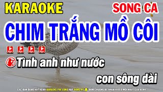 Karaoke Chim Trắng Mồ Côi Song Ca Phối Mới  Nhạc Sống Phi Long [upl. by Noonberg]