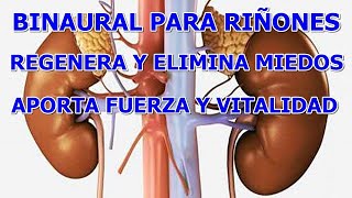 BINAURAL PARA REGENERAR LOS RINONES Y ELIMINAR TEMORES Y MIEDOS APORTANDO FUERZA Y VITALIDAD [upl. by Hansel]