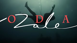 ZALE  ODA Lyrics Video [upl. by Nainatrad228]