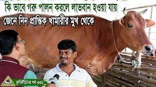 Krishi Chitra331কি ভাবে গরু পালন করলে লাভবান হওয়া যায় শুনে নিন প্রান্তিক কৃষকের মুখ থেকে। [upl. by Urbanna]