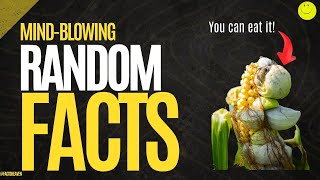 MindBlowing Random Facts That Will Melt Your Brain [upl. by Pember]