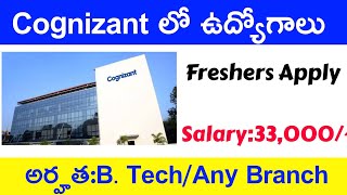 Cognizant latest recruitment bangaloreLatest MNC jobs in TeluguIT Jobs [upl. by Sylvie]