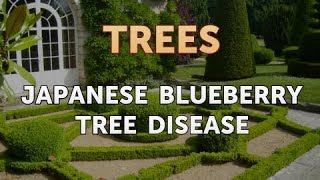 Japanese Blueberry Tree Disease [upl. by Zaid]