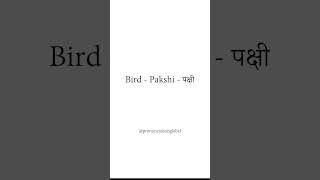 Pronounce Bird  Pakshi  पक्षी in Hindi  Pronunciation Global [upl. by Ahsuoj]