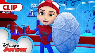 Spin Saves the Day  Marvels Spidey and his Amazing Friends  disneyjr [upl. by Alexandre421]