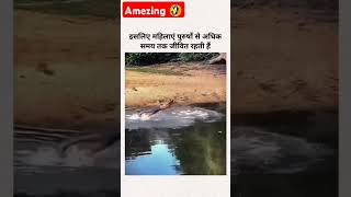 Real hero 💯youtube sortvideo sort trending viral animals animal reels [upl. by Anaizit]