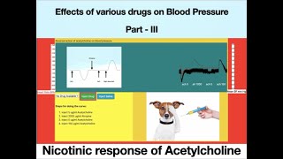 Nicotinic Action of Acetylcholine Effect of Drugs on BP ExPharm  Pharmacology Part III [upl. by Arnelle756]