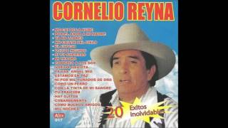 me sacaron del tenampa Cornelio Reyna [upl. by Lundell88]