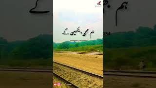 humne bandha hai Tere ishq mein urdupoetry viral whatsappstatus new video [upl. by Adest]