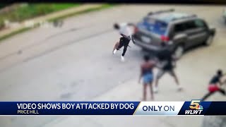 Dog attacks child man who intervened in Price Hill [upl. by Nosreh507]