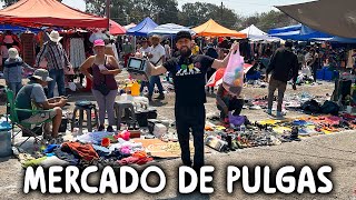 EL GRAN TIANGUIS DE CHAMILPA EN CUERNAVACA MORELOS FLEA MARKET [upl. by Emirac681]