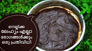 Gooseberry Lehyam  കുട്ടികൾക്കും മുതിർന്നവർക്കും ആരോഗ്യത്തിന്  മുടിക്ക് അത്യുത്തമം [upl. by Feune]