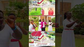 KRISTU MFALME SOLEMNITY OF CHRIST THE KING THE LORD SINGERS [upl. by Atnohs67]