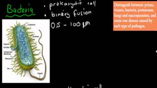 SB33 Prions bacteria virus  fungi  protozoa macroparasites HSC biology [upl. by Assilrac]