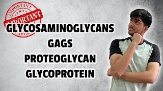 Biochemistry  Heteropolysaccharides  Glycosaminoglycans GAGs Proteoglycan Glycoprotein [upl. by Tades183]