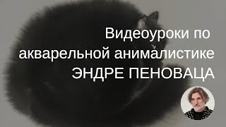 Видеоуроки Акварельная анималистика с Эндре Пеновацем Приглашение [upl. by Lativa]