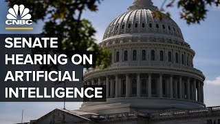 Senate committee examines AI advances and DOEs role amid emerging technologies — 090723 [upl. by Ruhnke]