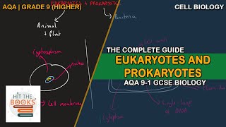 Eukaryotes and Prokaryotes  GCSE Biology AQA [upl. by Croydon590]