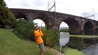 Flathead Hunting With SeaMoney Fishing Philadelphia PA [upl. by Oemac66]