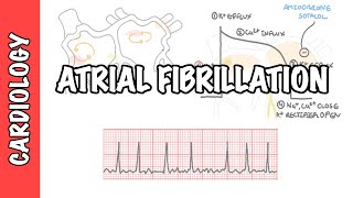 Atrial Fibrillation Overview  ECG types pathophysiology treatment complications [upl. by Silenay]