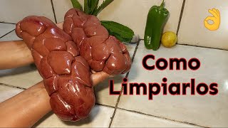 Como Limpiar Riñones De Res  Comidas Saludables Carne [upl. by Nosiaj]