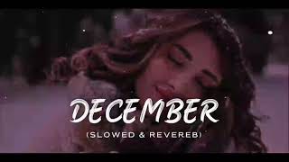 December Punjabi song Latest version  slow Reverb  jaweriaukfeelings [upl. by Irrok557]