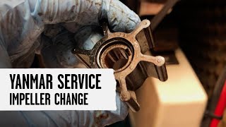 How to Replace Yanmar Impeller [upl. by Asihtal406]