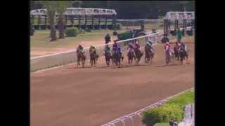 4e course  Championnat du Monde de Son Altesse Sheikha Fatima Bint Mubarak  PS arabes  2000 m [upl. by Snowber341]