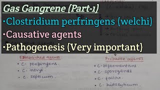 Gas gangrene Part1  Causative agents  Pathogenesis of gas gangrene [upl. by Holna]