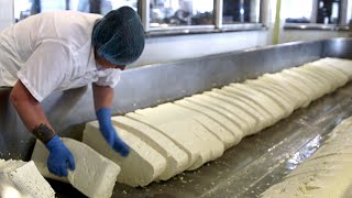 How Cheese Is Made [upl. by Tapes]