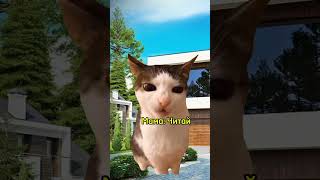 cartoon memes shrek funny comedy врек мемчики cat котики рекомендации фрет юкан [upl. by Gayle806]