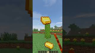 Top 3 Amazing Glitches in Minecraft short minecraft [upl. by Rea]