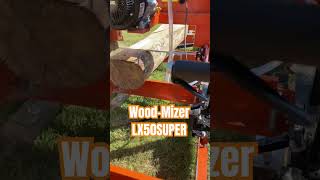 Trial Cuts with WoodMizer LX50 Sawmill Shorts [upl. by Elyac39]