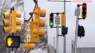 New Bike Traffic Lights Upgrade  Woodward amp Fielding [upl. by Attinahs]