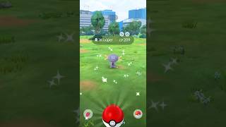 Shiny Woopy Boi From Paldea  pokémongo wooper paldea [upl. by Siurtemed172]