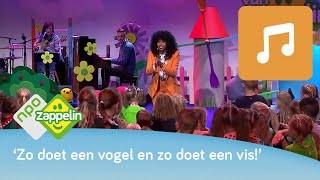 IN DE MANESCHIJN  Kinderliedjes zingen met Fenna  NPO Zappelin [upl. by Draner]