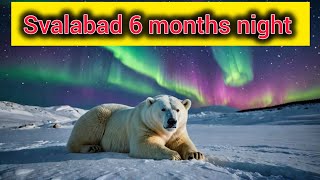 How is LIFE in SVALBARD 🇳🇴 6 Month Night amp 6 Month Day [upl. by Iaria]