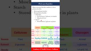 Polysaccharides Biochemistry  By Imran Yaseen [upl. by Treve]