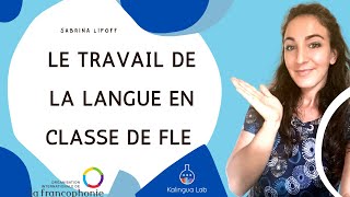 Grammaire et vocabulaire en classe de FLE [upl. by Kal]