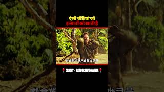 🤯 Insano Ko Khane Wali Chitiyan 😨  Movie Explained In Hindi shorts movieexplainedinhindi [upl. by Alios]