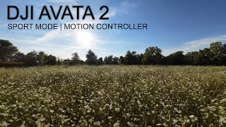 DJI AVATA 2  Motion controller  Sport mode [upl. by Keen]