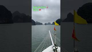 Beautiful Halong Bay Cruise Vietnam 🚢  Travel  Cruise  Travel Shorts  Cruise Shorts shorts [upl. by Leonteen753]