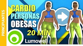 Cardio PARA PERSONAS OBESAS Y PRINCIPIANTES Para Quemar 250 Calorías  Ejercicios Para Sobrepeso [upl. by Leander533]