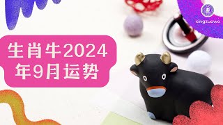 生肖牛9月2024年运势 属牛2024年9月运势详解 生肖牛 2024年运势 9月运势 属牛运势 [upl. by Neil934]