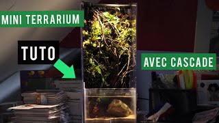 TUTO  Mini Paludarium [upl. by Idoc]