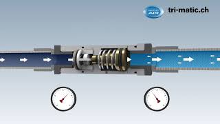 Funktion Druckminderer für Druckluft Werkzeuge und Automation ToolReg® [upl. by Zetes]