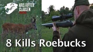 Kristoffer Clausen hunting roebucks 8 kills Bukkejakt 8 fellinger [upl. by Hashim]