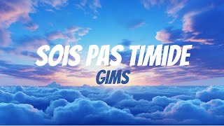 GIMS  Sois Pas Timide ParolesLyrics [upl. by Dibrin]